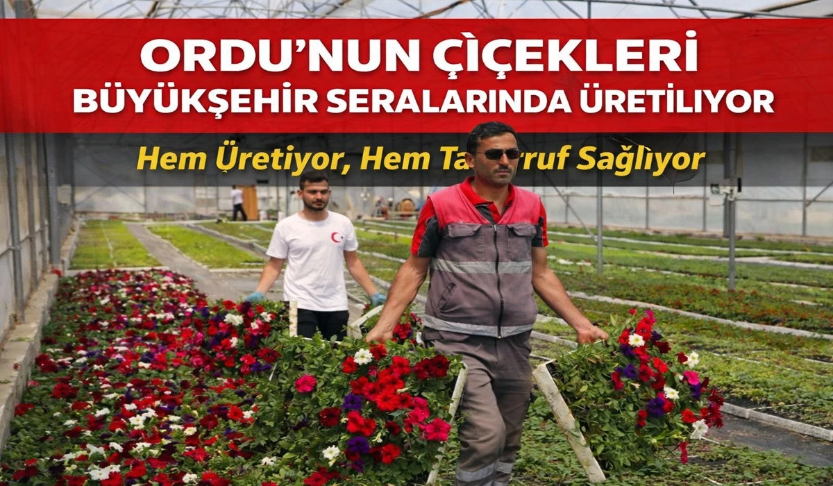 1,2 Milyon &Ccedil;i&ccedil;ek Ordu'nun G&uuml;zelliğine G&uuml;zellik Katıyor