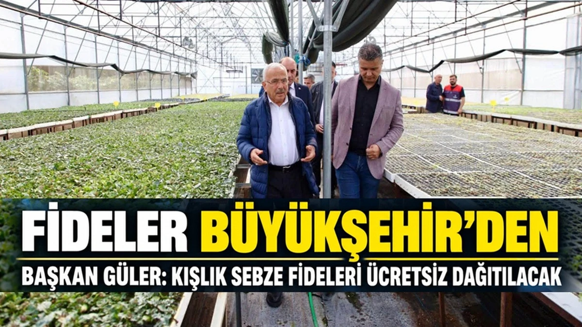 Ordu'da 200 Bin Kışlık Sebze Fidesi Dağıtıma Hazır