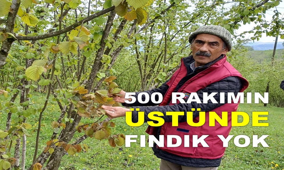 '2004'TE YAŞADIĞIMIZ  FELAKETİN KATBEKAT ÜSTÜNDE'