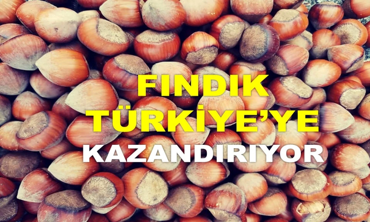 2025'TE ELDE EDİLEN GELİR 1 MİLYAR 182 MİLYON DOLAR