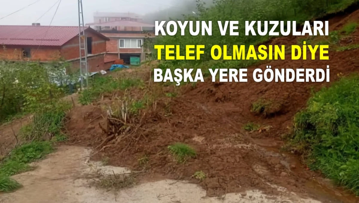 25 GÜNDÜR HER YAĞMURDA EVİ VE AHIRI SU İÇİNDE