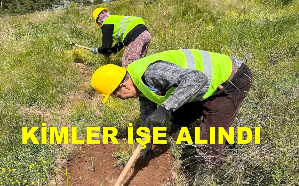 3 BİN 477 SÖZLEŞMELİ PERSONEL İŞE ALINDI!
