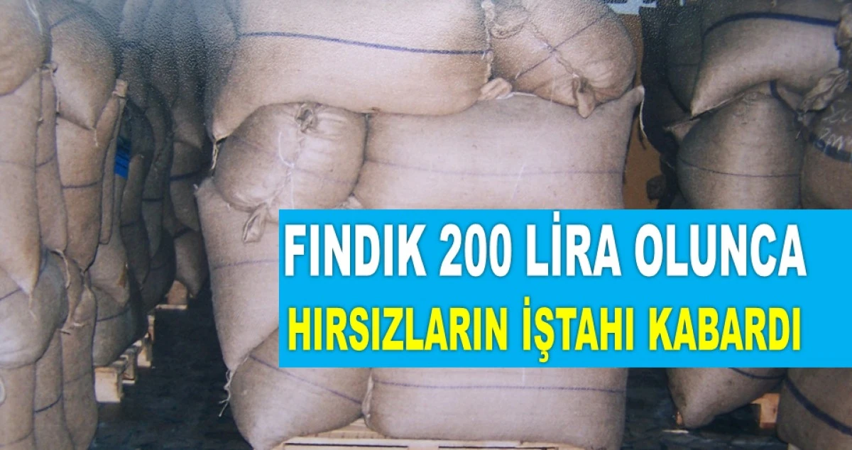 3 TON FINDIĞI ÇALDI AMA JANDARMADAN KAÇAMADI