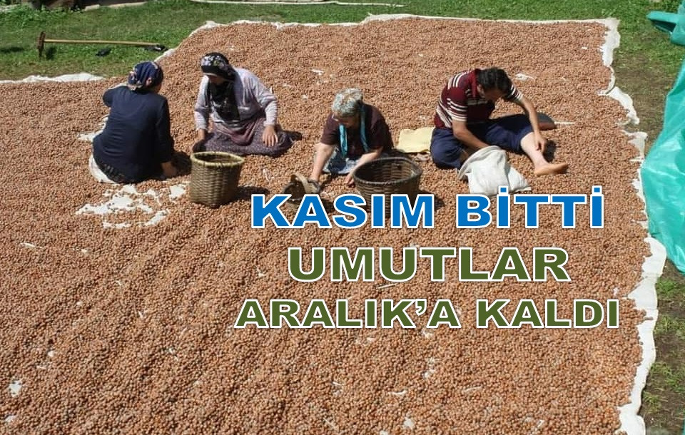 30 KASIM PERŞEMBE ORDU'DA FINDIK KAÇ LİRA?