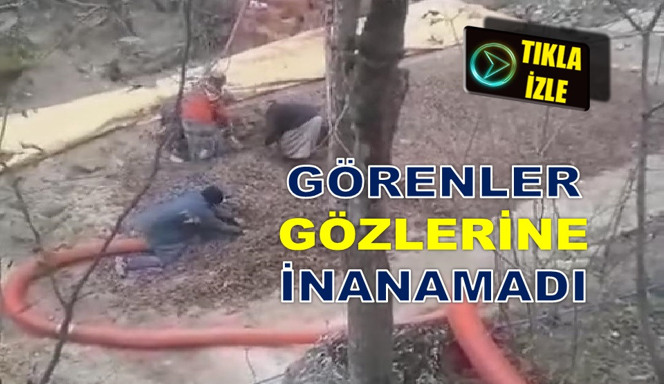 30 KASIM'DA ORDU'DA PATOZA FINDIK VERİLDİ!