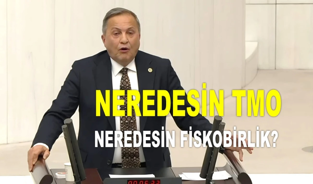 '350 LİRAYA &Ccedil;IKAN FINDIK NASIL 230 LİRAYA D&Uuml;ŞT&Uuml;' 