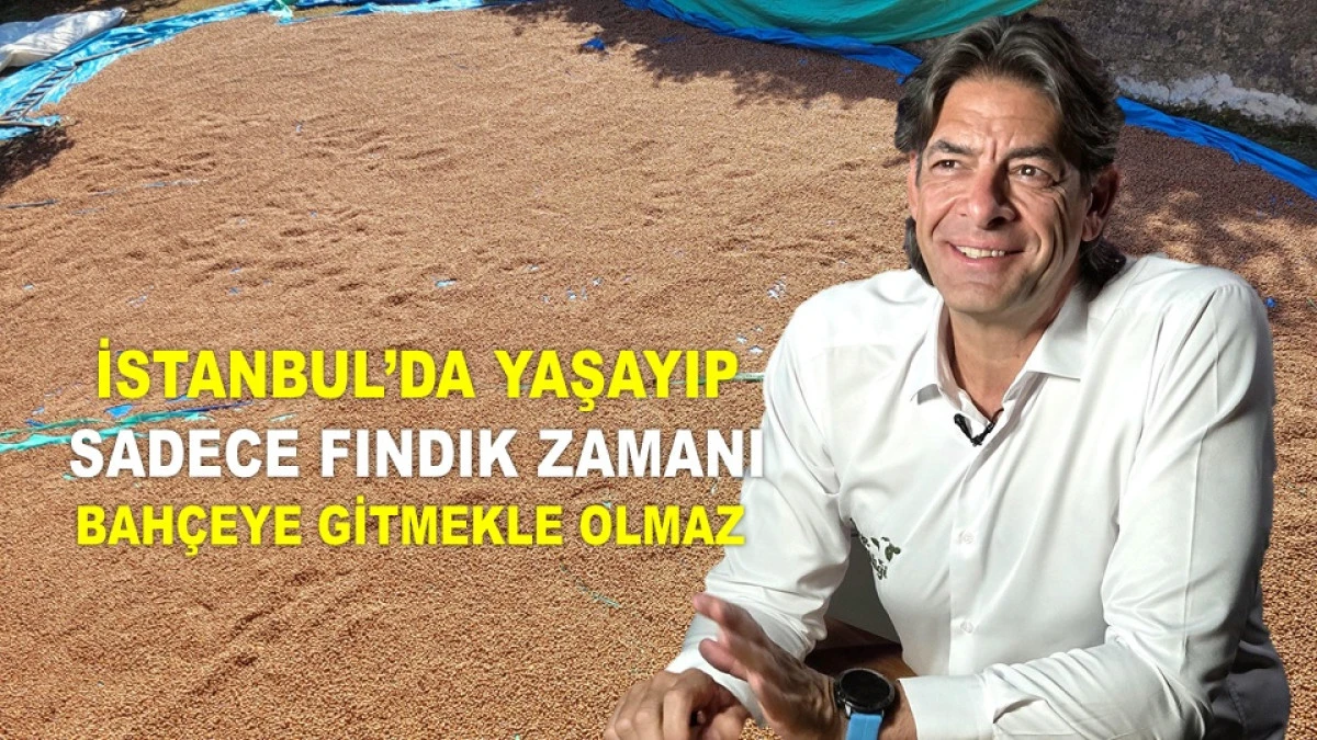 '5 SENE SONRA KİMSE TÜRKİYE'DEN FINDIK ALMAYACAK'