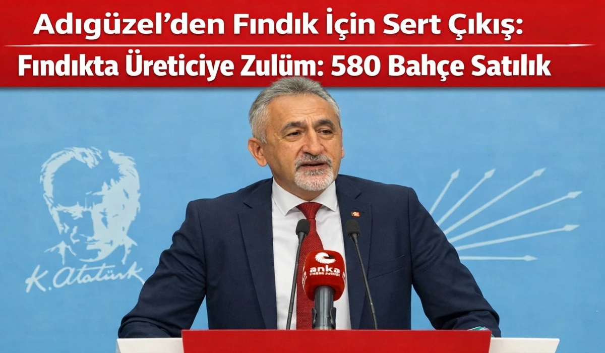 Adıg&uuml;zel: Fındıkta 400 Lira Altı Rakam Konuşulamaz