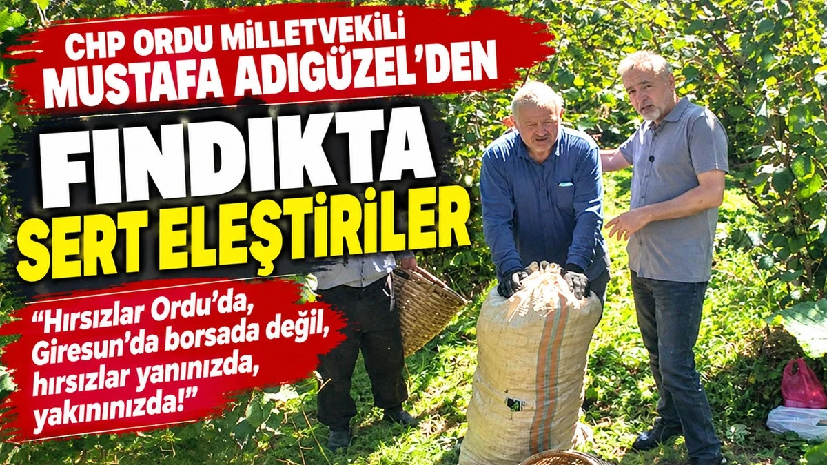 Adıg&uuml;zel'den Sert S&ouml;zler: Fındıkta Hırsızlık Kol Geziyor