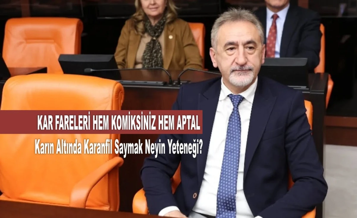 Adıg&uuml;zel&rsquo;den Sert Tepki: Kar Faresi Misiniz?