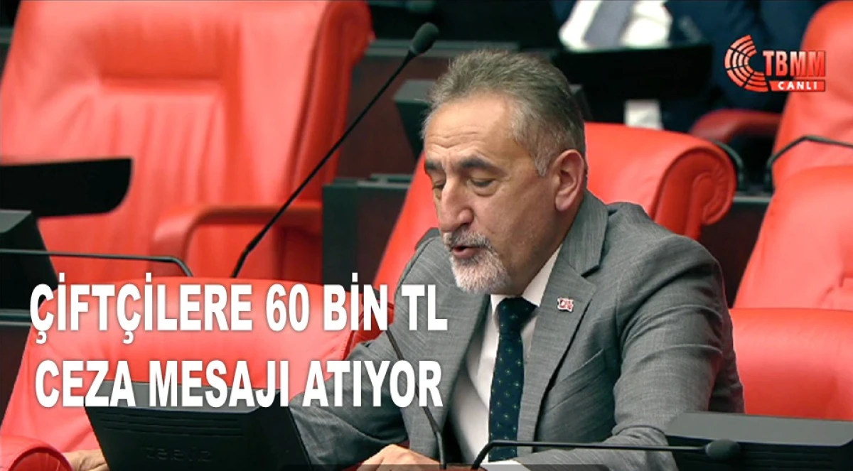 ADIGÜZEL'TEN SERT TEPKİ: TÜİK SEN BELA MISIN?