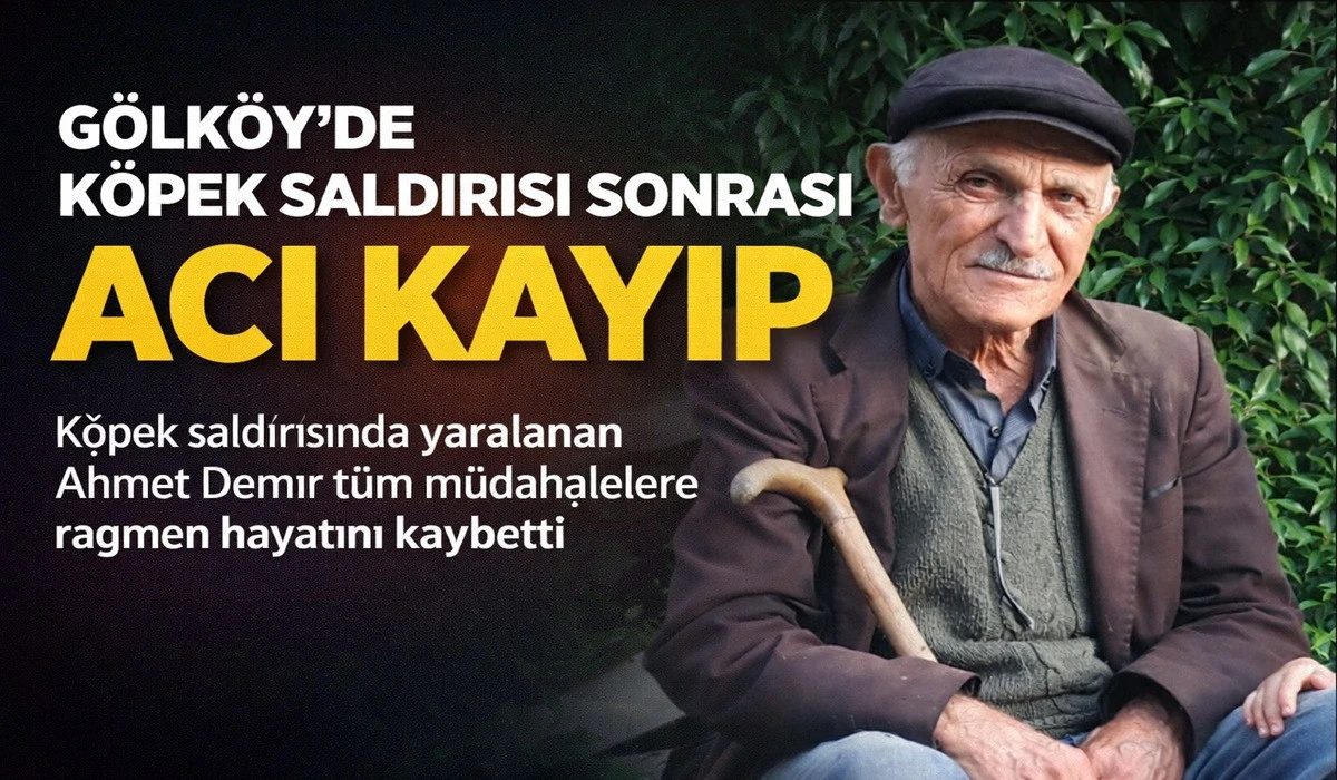 Ahmet Demir 40 G&uuml;nl&uuml;k Yaşam Savaşını Kaybetti