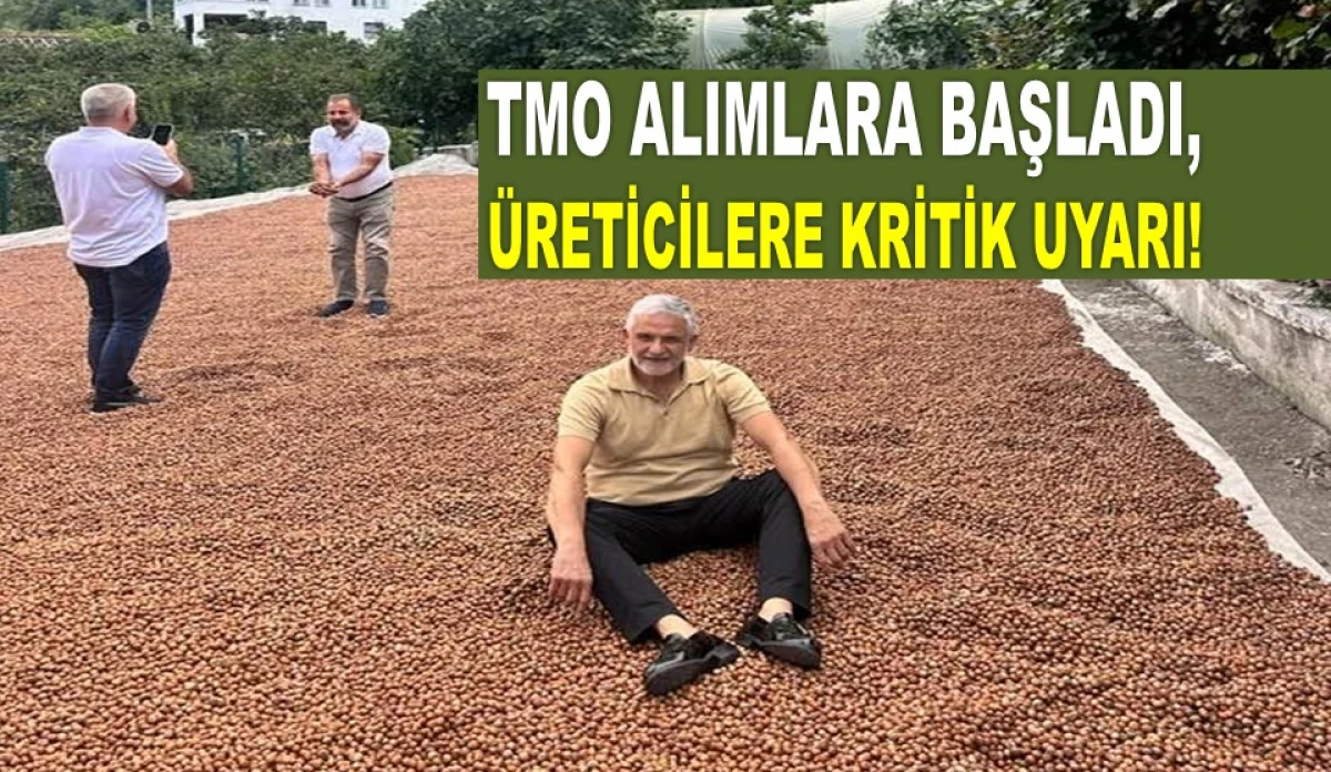Ak&ccedil;a Uyardı: Eski Fındıkları Sakın TMO'ya Getirmeyin