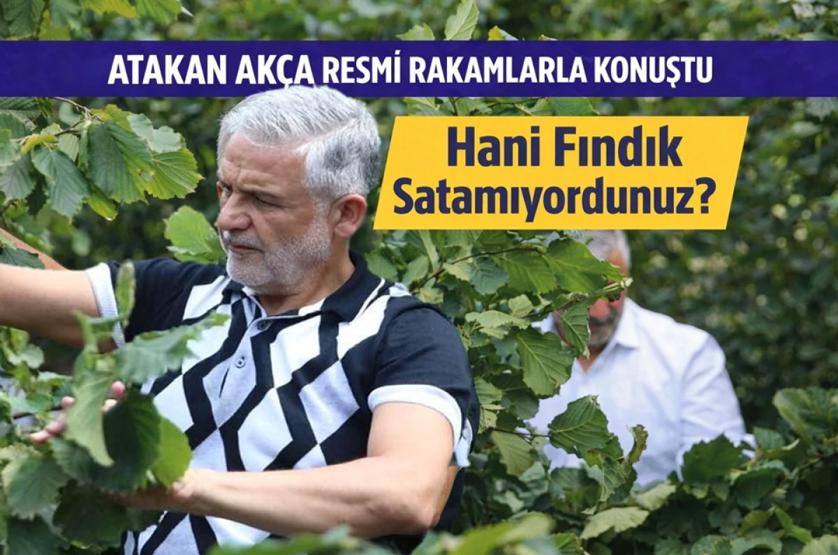 Ak&ccedil;a&rsquo;dan Sert &Ccedil;ıkış: Fındıkta Ger&ccedil;ekler Ortaya &Ccedil;ıktı!