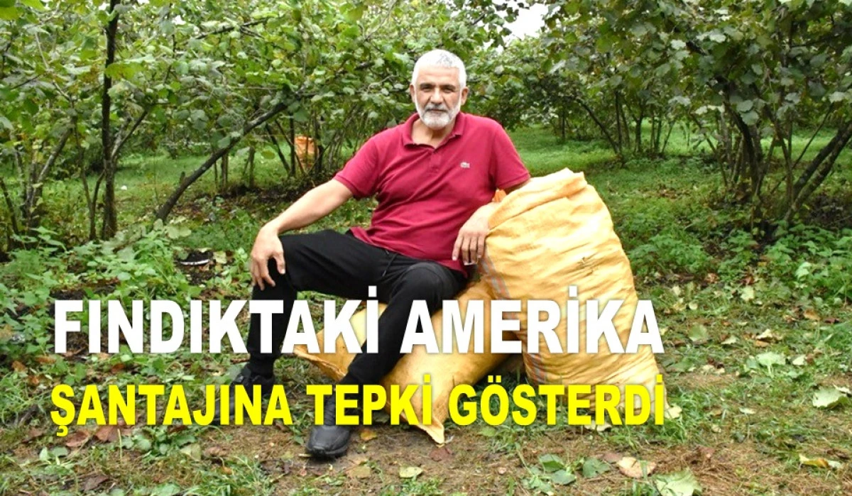 AK&Ccedil;A'DAN TEPKİ: T&Uuml;RK FINDIĞININ ALTERNATİFİ YOK