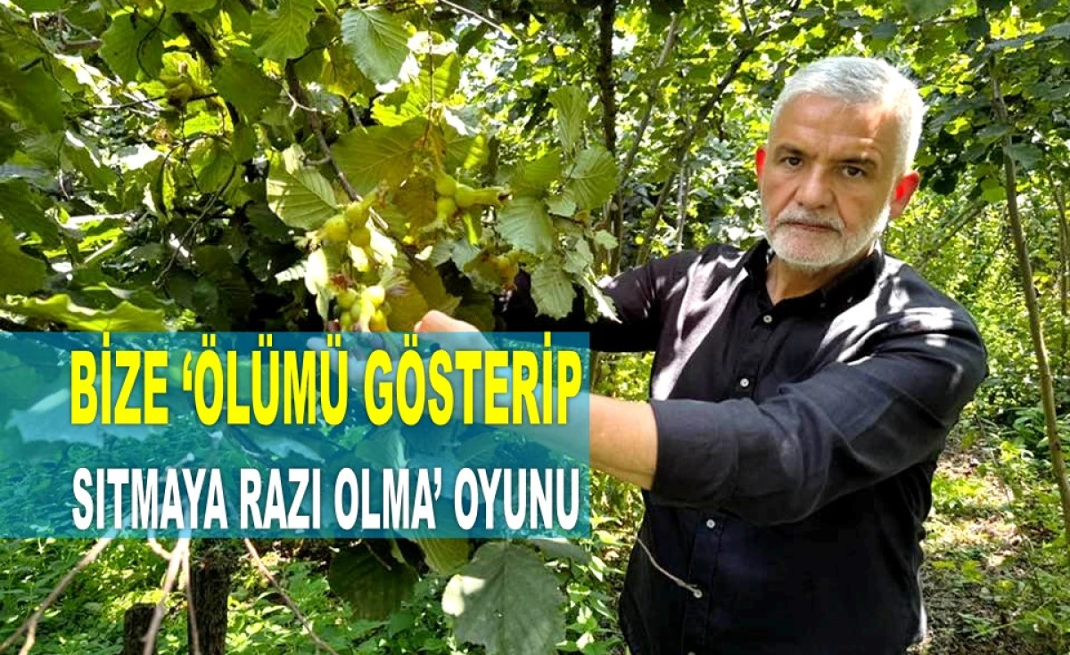 AKÇA’DAN TMO'YA SERT TEPKİ: ZEKÂMIZLA OYNANMASIN!