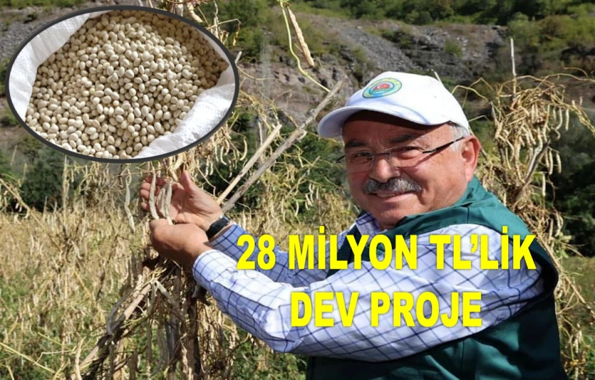 AKKUŞ ŞEKER FASULYESİNE DEV DESTEK