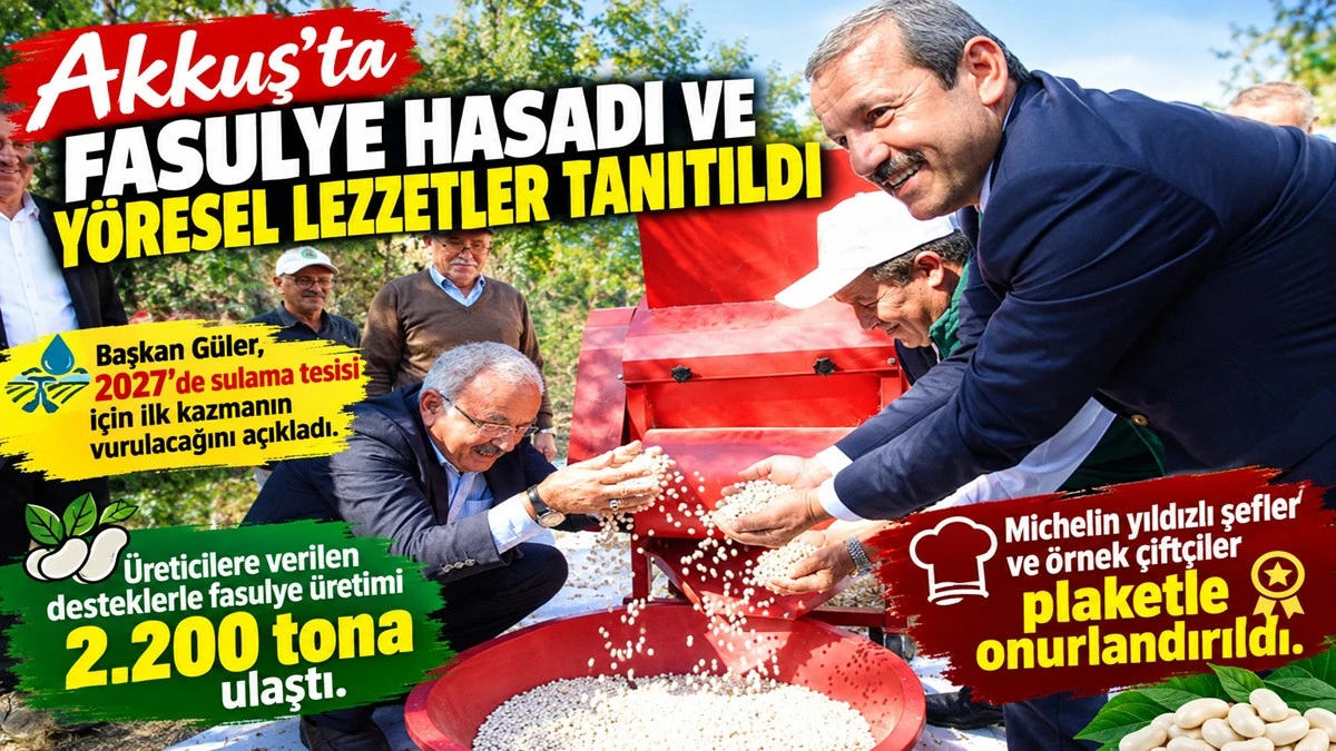 Akkuş&rsquo;ta Fasulye Şenliği: Sulama M&uuml;jdesi Geldi