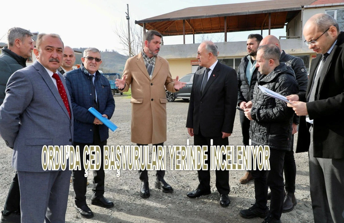 Altınordu, Fatsa ve Perşembe'de &Ccedil;ED İncelemesi