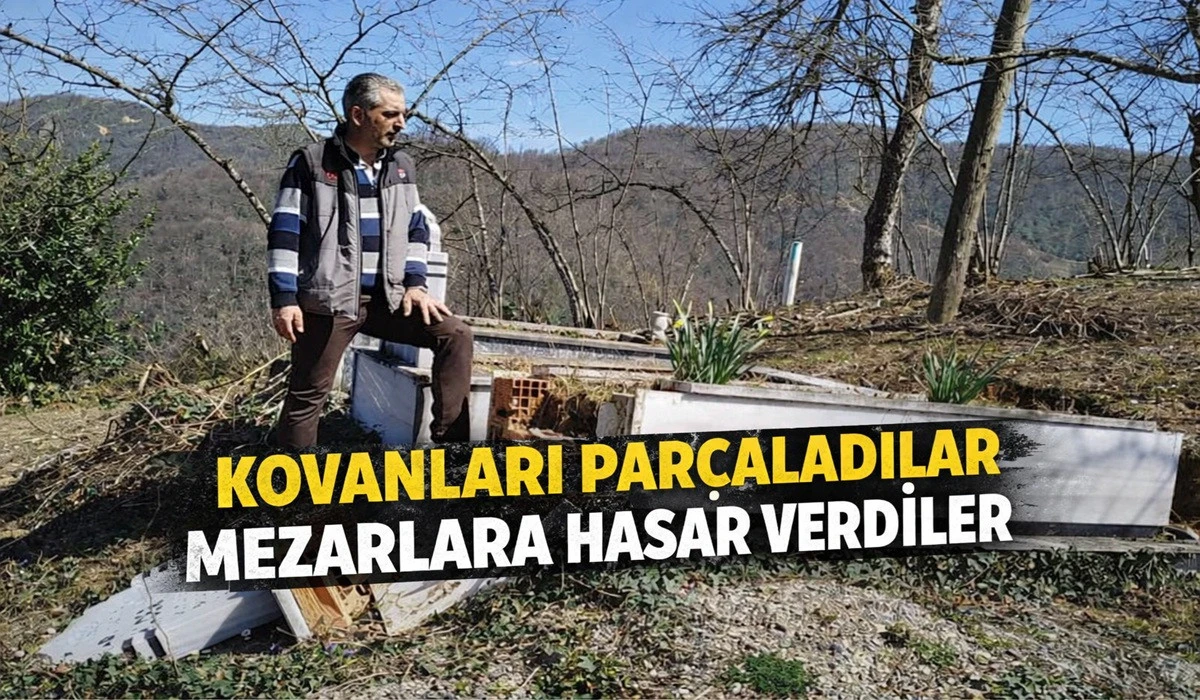 Altınordu&rsquo;da Ayıların İnişi Korkuya Neden Oldu