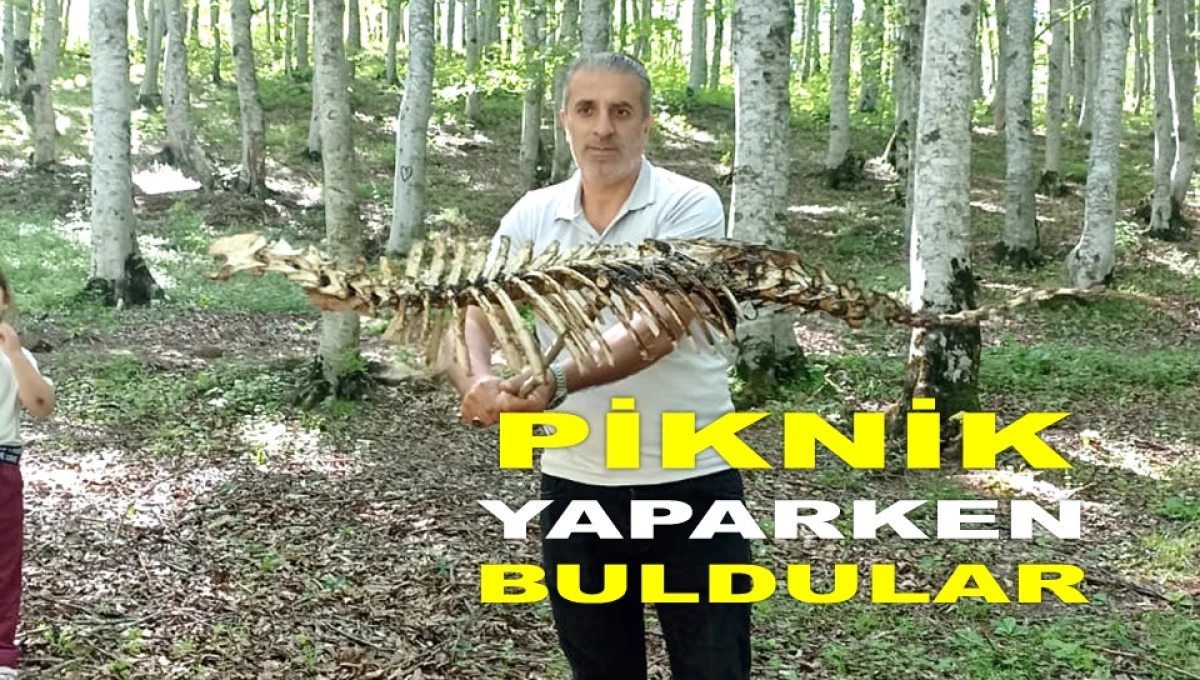 AYBASTI'DA GİZEMLİ İSKELET BULUNDU