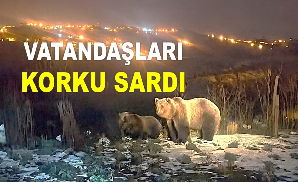 AYILAR ŞİMDİ DE G&Uuml;RGENTEPE'DE EVLERE KADAR İNDİ