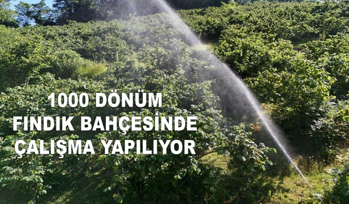 BAHÇELERİNDE KAHVERENGİ KOKARCA İLE MÜCADELE 