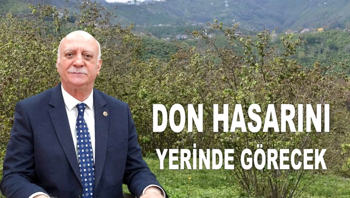 BAŞKAN BAYRAKTAR ORDU'DA FINDIK BAHÇESİNİ İNCELEYECEK