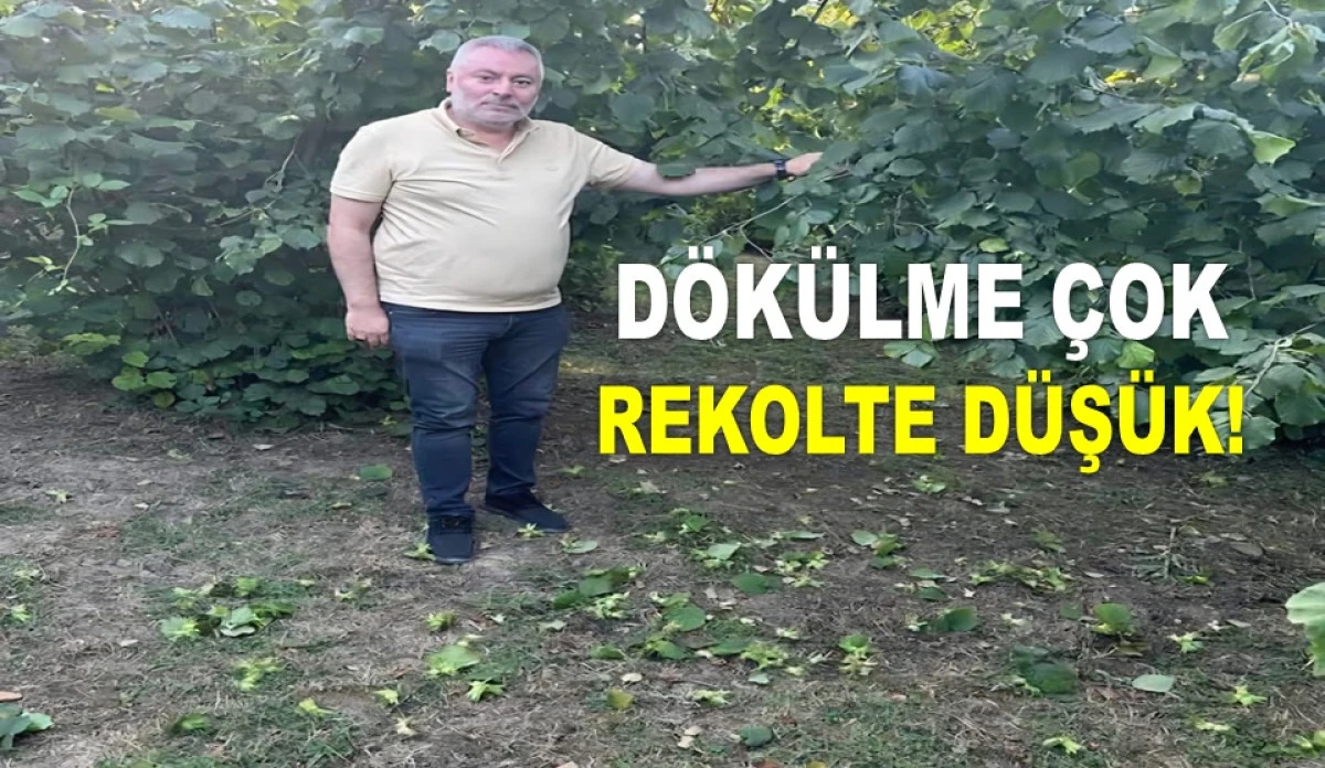 BAŞKAN FEYZİ'DEN REKOLTECİLERE TOKAT GİBİ CEVAP