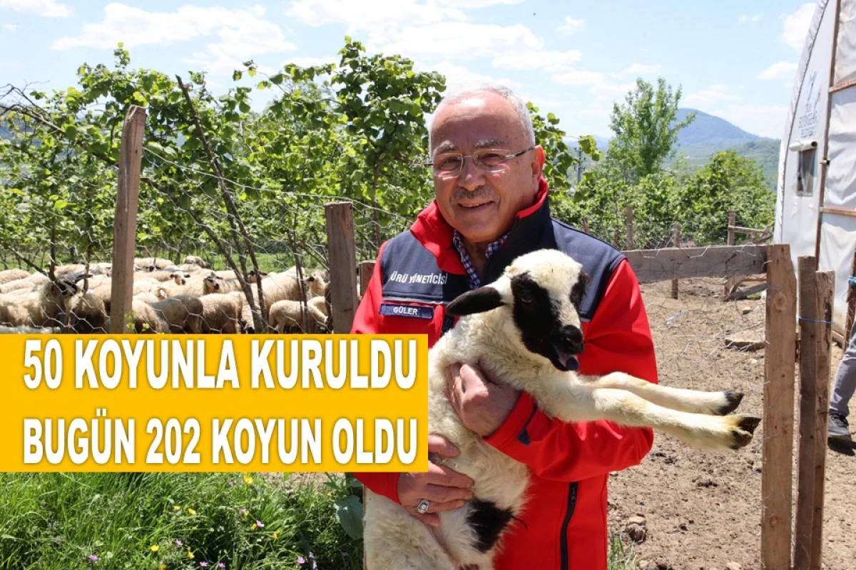 BAŞKAN GÜLER'DEN HAYVANCILIĞA TAM DESTEK!
