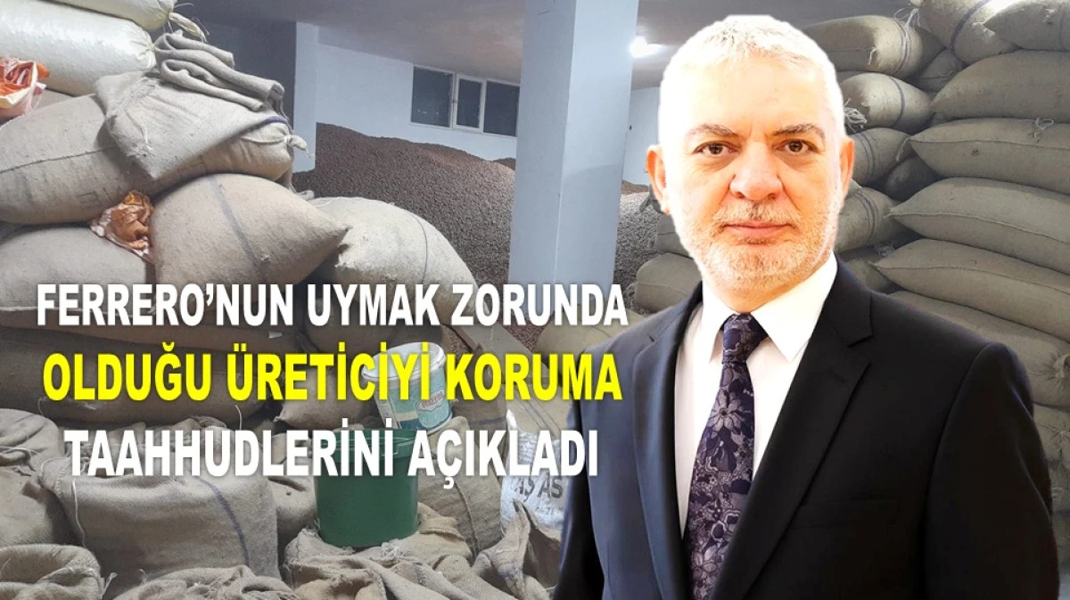 BAŞKAN KÜLE: FINDIK FİYATINDA ARTIŞ BEKLİYOR