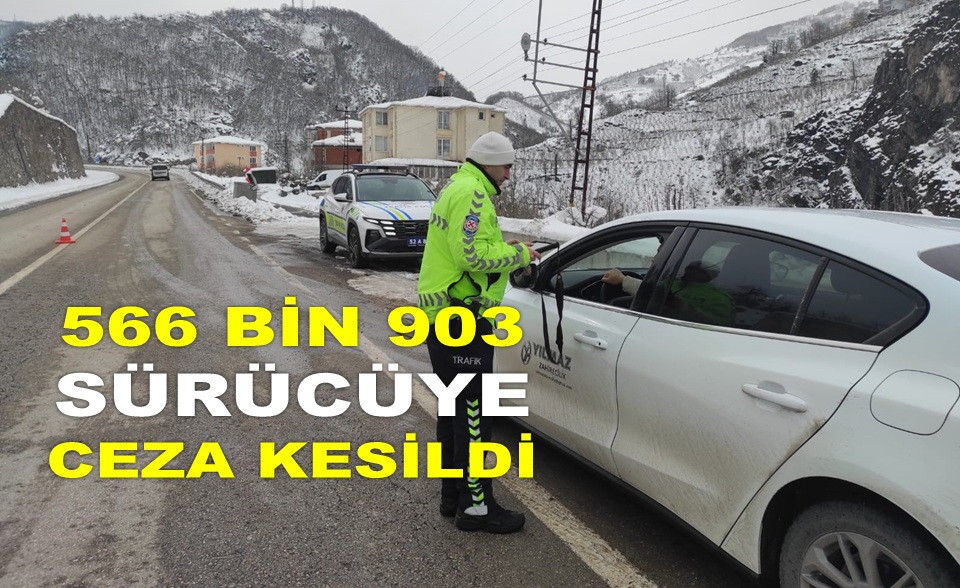 BİR HAFTADA 3 MİLYON 800 BİN ARAÇ DENETLENDİ