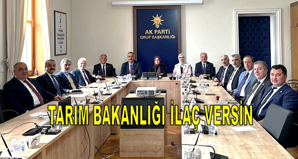 BÖLGE MİLLETVEKİLLERİ FINDIK İÇİN TOPLANDI