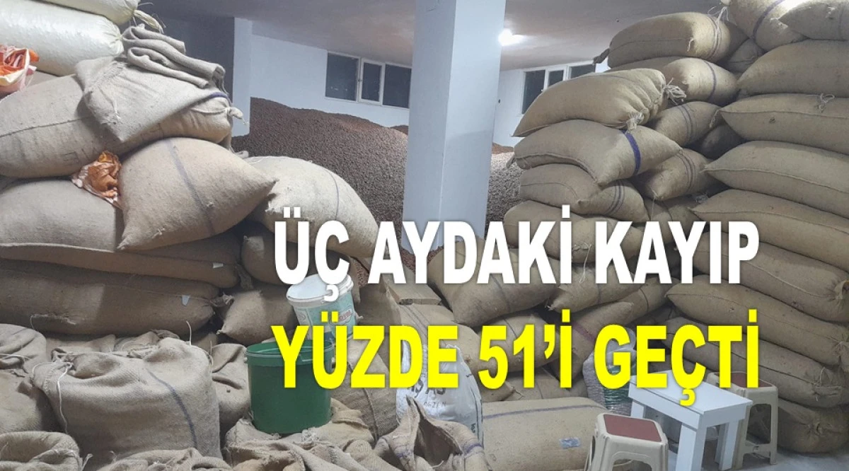 BU SEZON SADECE 139 BİN TON FINDIK SATILDI