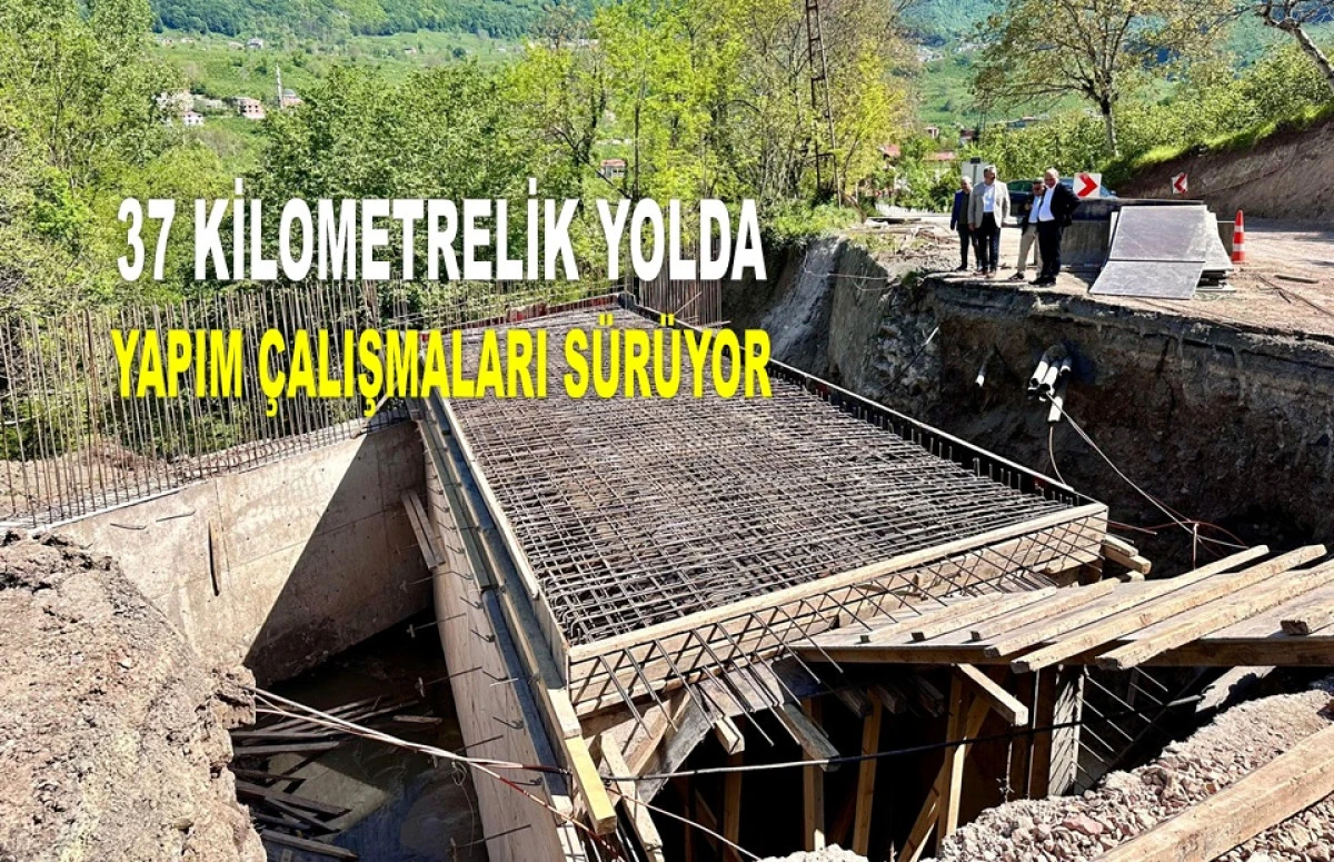 BU YOL AYBASTI VE GÖLKÖY'Ü BİRBİRİNE BAĞLAYACAK