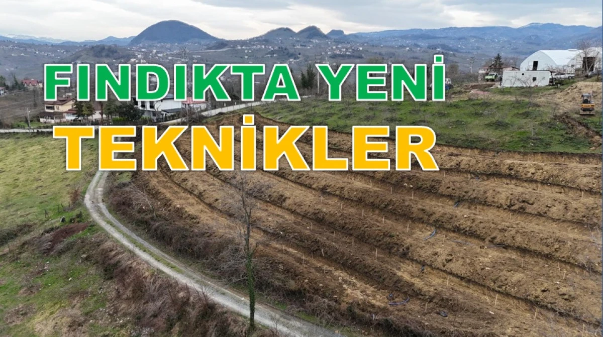 Bu Y&ouml;ntemle D&ouml;n&uuml;mde 350 Kilo Fındık Hedefleniyor
