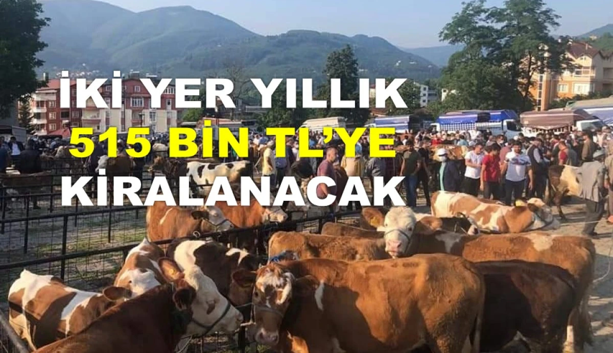BÜYÜKŞEHİR FATSA'DA VE ALTINORDU'DA İHALEYE ÇIKIYOR