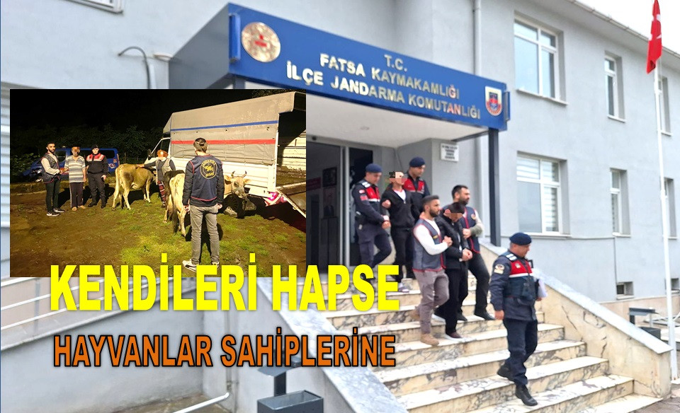 ÇALDIKLARI KURBANLIKLARLA YAKALANAN İKİ KİŞİ TUTUKLANDI