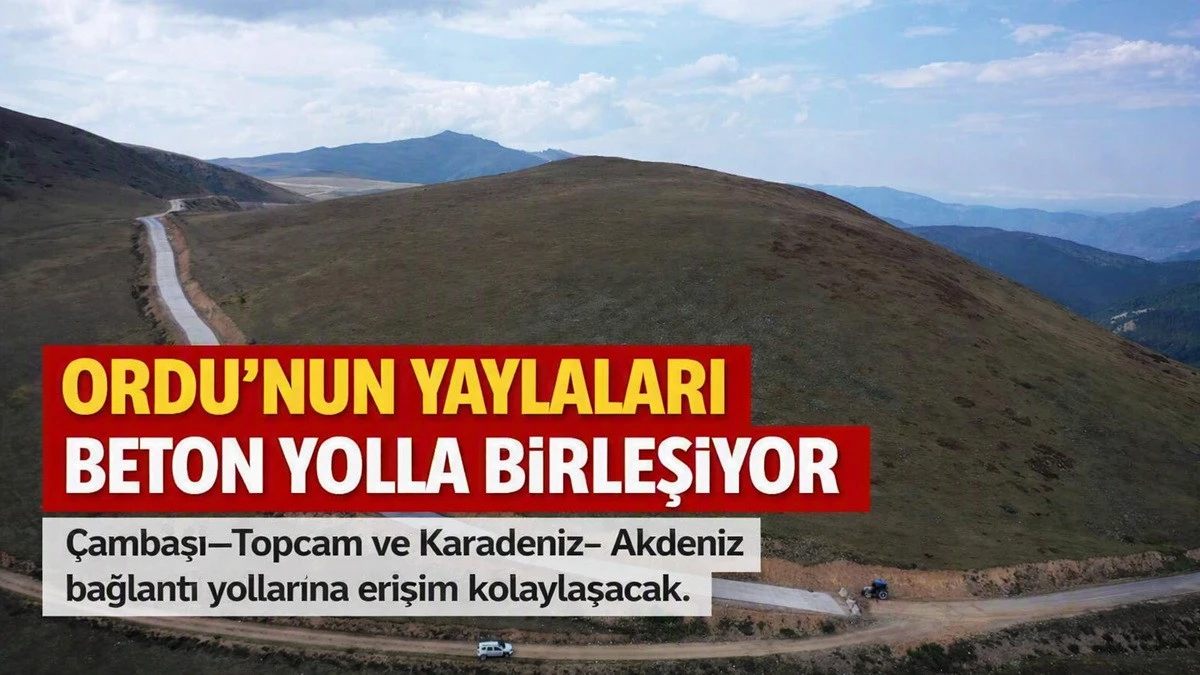 &Ccedil;ambaşı&ndash;Mesudiye Arasında Beton Yol Hamlesi