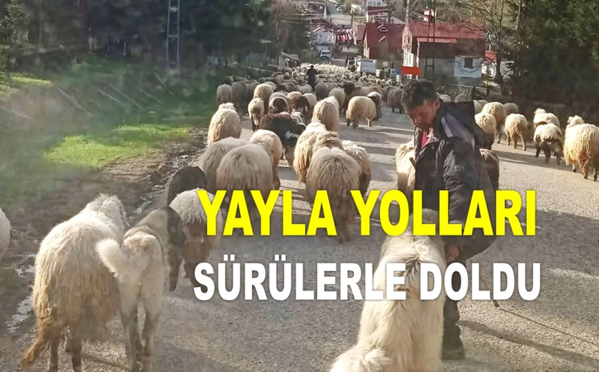 ÇAMBAŞI'NA GİDECEK SÜRÜCÜLERE KRİTİK UYARI!