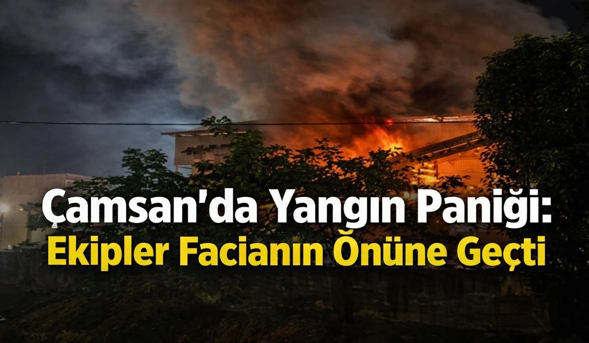 &Ccedil;amsan'da  &Ccedil;ıkan Yangın Korkulu Anlar Yaşattı!