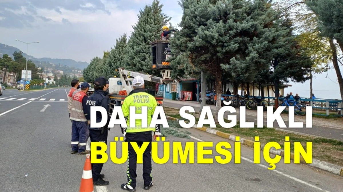 CAN G&Uuml;VENLİĞİ İ&Ccedil;İN UZMANLAR EŞLİĞİNDE BUDANACAK