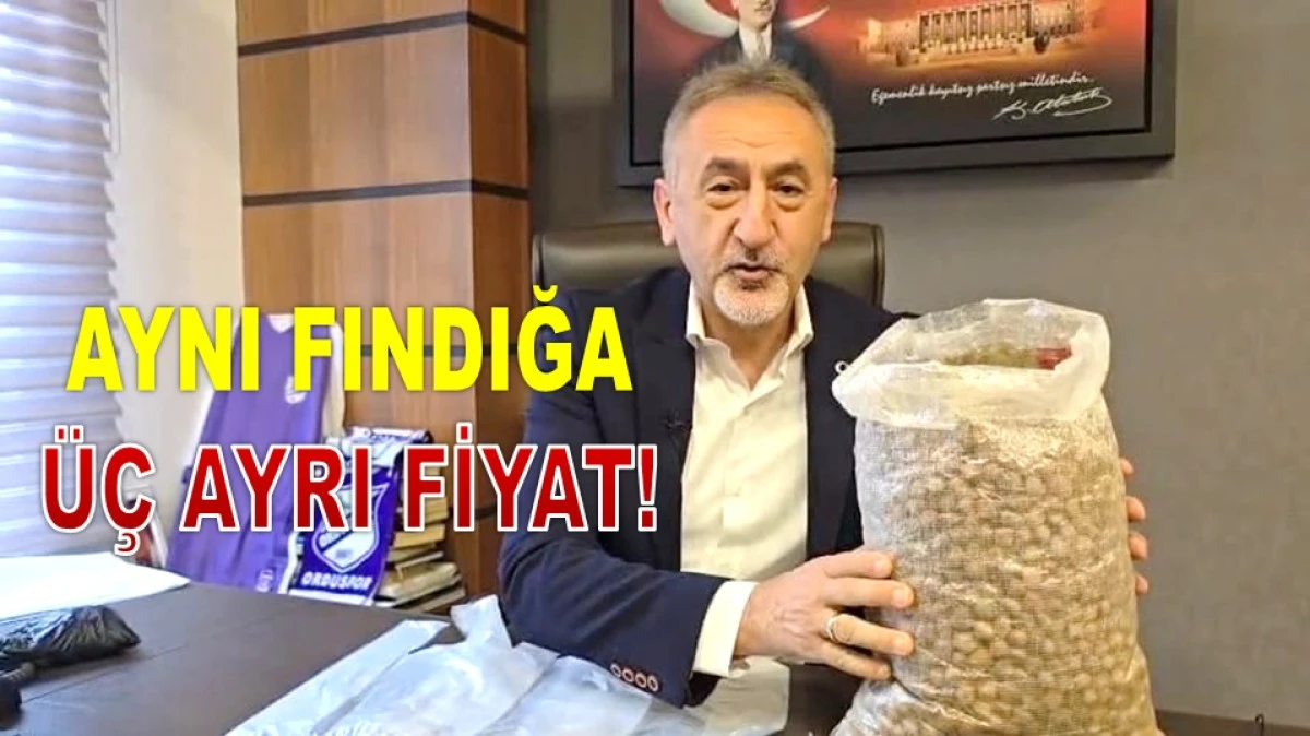 CHP&rsquo;li Adıg&uuml;zel&rsquo;den Fındıkta 4 Maddelik &Ccedil;&ouml;z&uuml;m &Ccedil;ağrısı