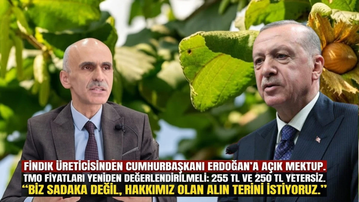 Cumhurbaşkanı Erdoğan&rsquo;a Mektup: Biz Hakkımızı İstiyoruz