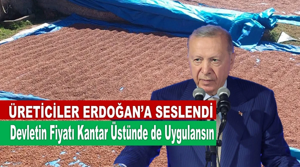 Cumhurbaşkanı Erdoğan'a TMO'yu Şikayet Ettiler