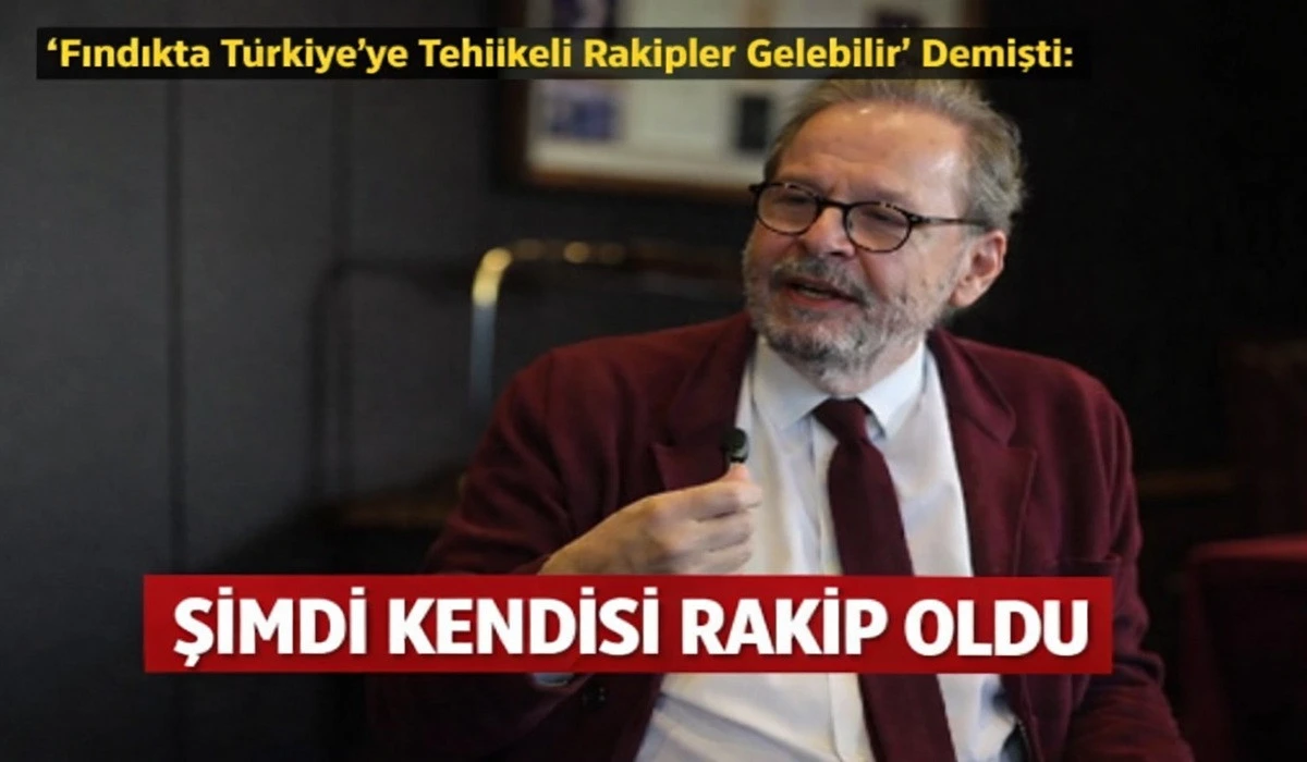 C&uuml;neyd Zapsu, Şili&rsquo;de Fındık Fabrikası Kurdu