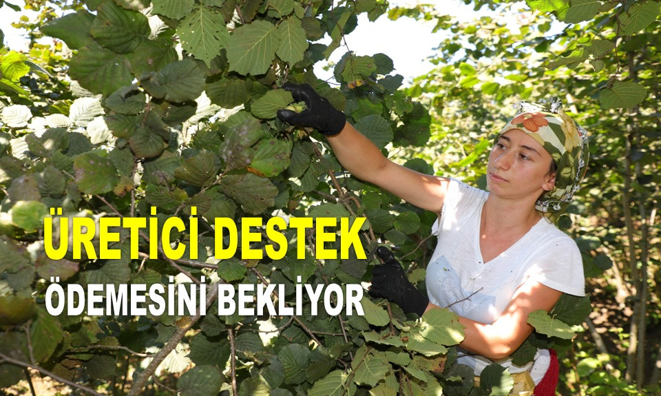 'DESTEKLEMELER BİR AN ÖNCE ÜRETİCİNİN ELİNE GEÇMELİ'