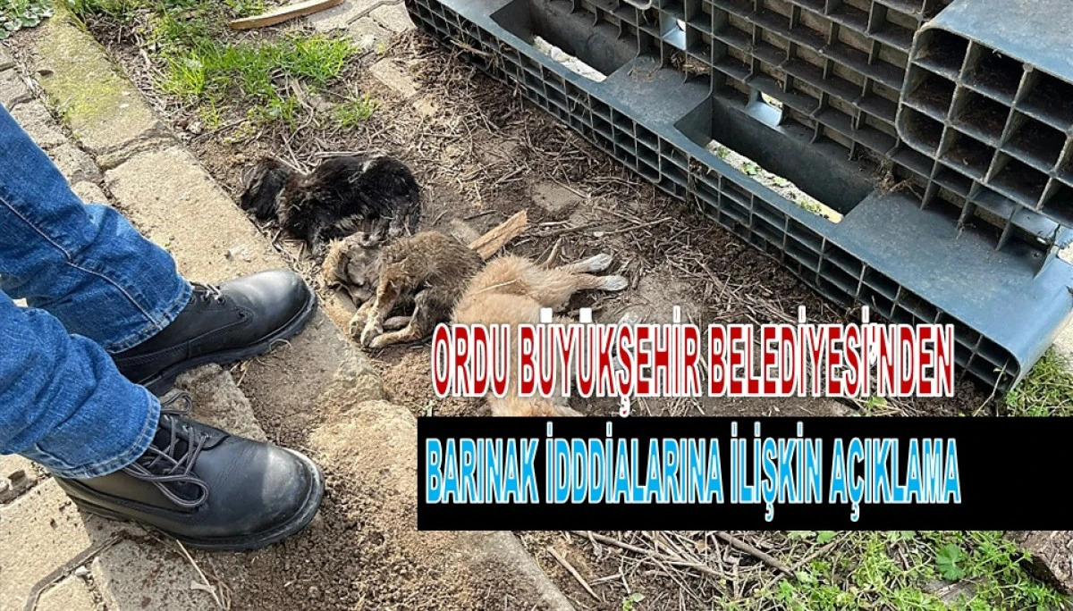 Dış M&uuml;dahale Ş&uuml;phesiyle Soruşturma Başlatıldı