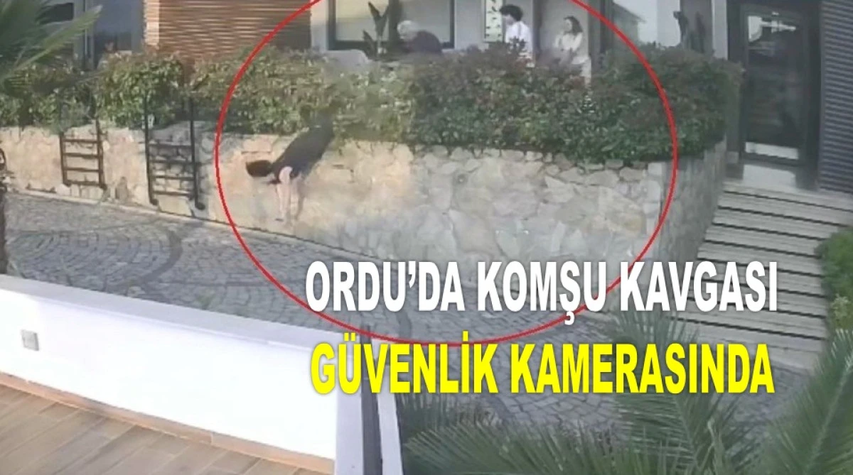 DOKTORUN İTTİĞİ KADIN DUVARDAN BETON ZEMİNE DÜŞTÜ