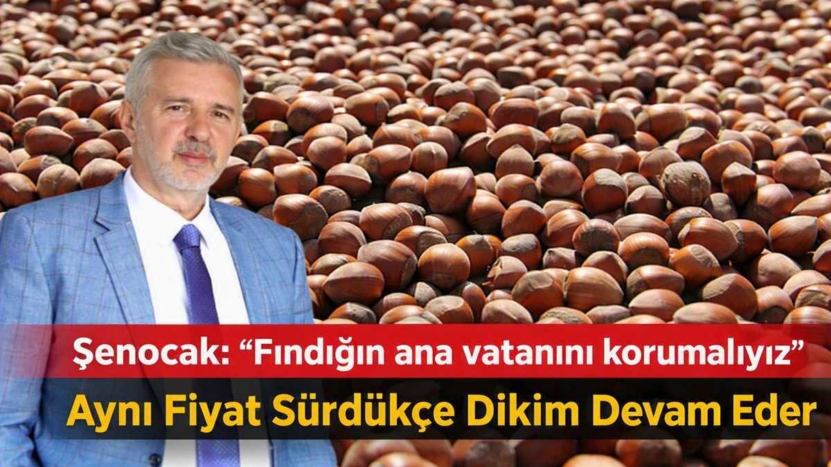 'Eğimli Araziyle D&uuml;z Arazideki Fındık Fiyatı aynı Olmaz'